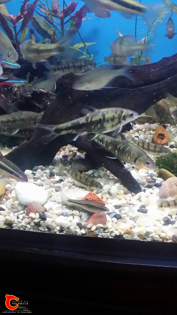 201857y890fy88qq9dv7fi.jpg