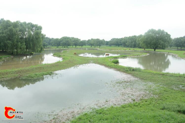 222401wyav9yybubau8wmu.JPG