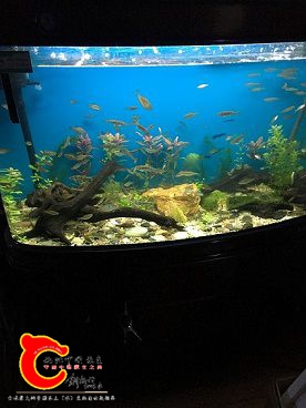 IMG_0818.JPG