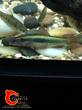 IMG_0798.JPG