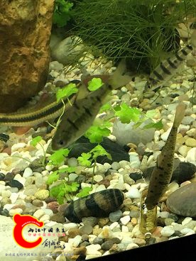 IMG_0792.JPG