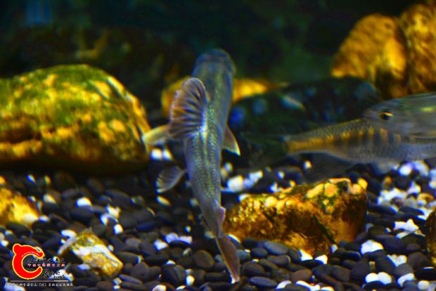 DSC_2343.JPG