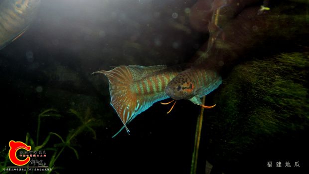 06.jpg