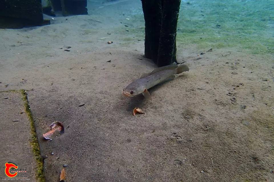 0ed42ec10810062be4d86c98f5c1755a.jpg