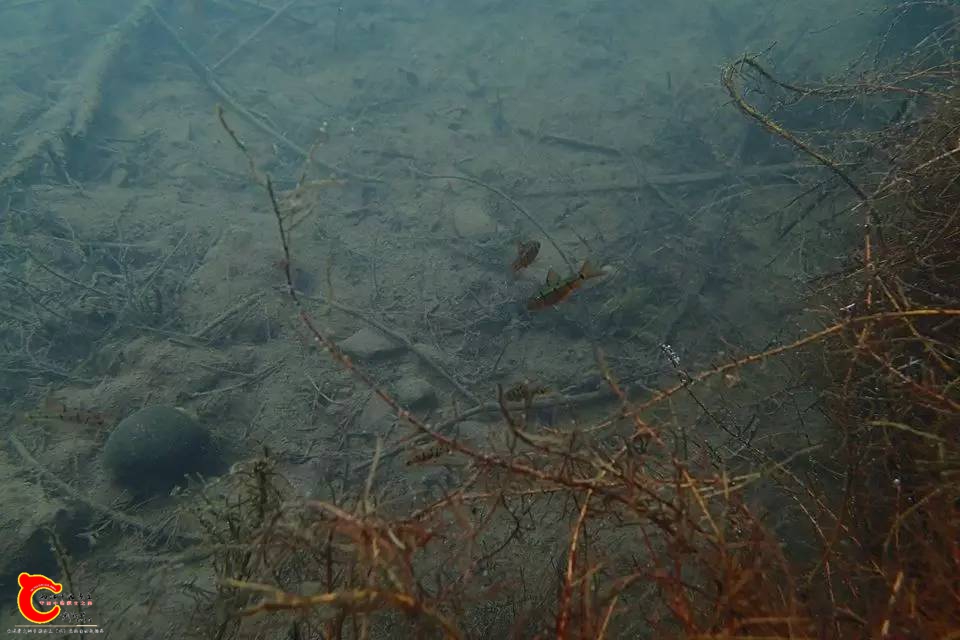 9aae7d3d8d6b3e51d06fd97932d3ec33.jpg
