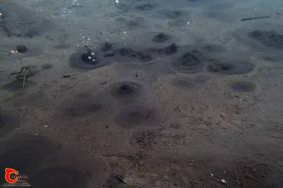 b4fdcf08f233c4d9e604429b3c25074d.jpg