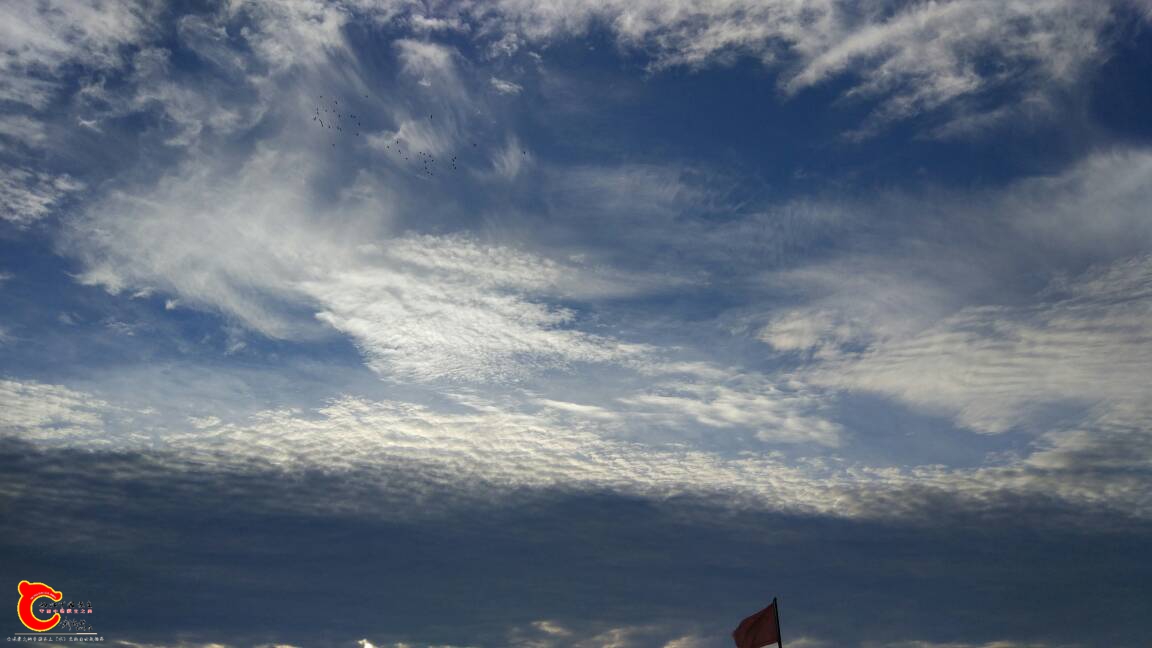 103054jirlor06ra9co9gl.jpg
