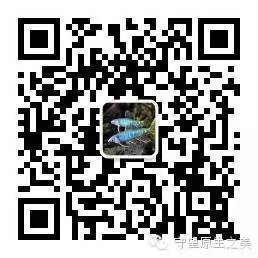 94cba3b0f52fa2db5e21bbc104066da9.jpg
