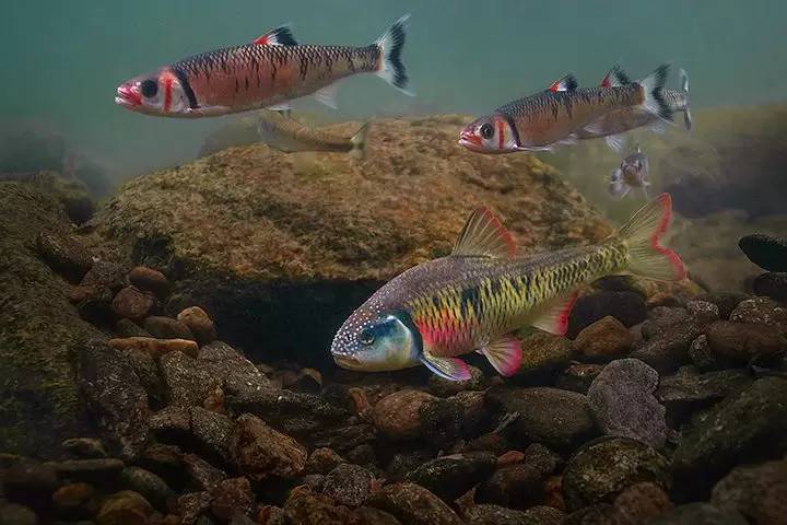 5d21efe8e841e0262a4080ad662a5557.jpg