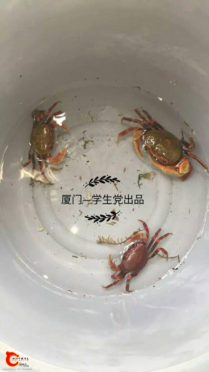 064654xjvp5nqj1uze1ftt.jpg