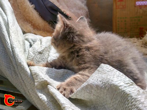 IMG_20160701_131307_HDR.jpg