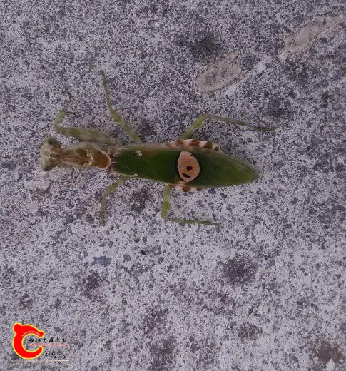 IMG_20160929_095423_2345看图王_看图王.jpg
