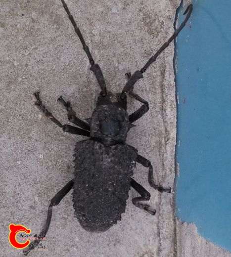 IMG_20160929_125827_2345看图王_看图王.jpg