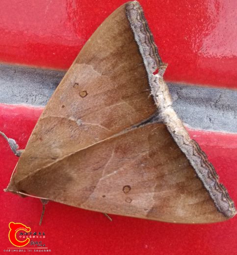 IMG_20160929_131158_2345看图王_看图王.jpg