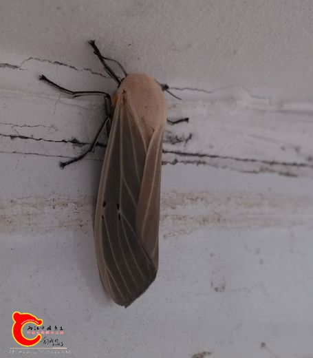 IMG_20160929_131233_2345看图王_看图王.jpg