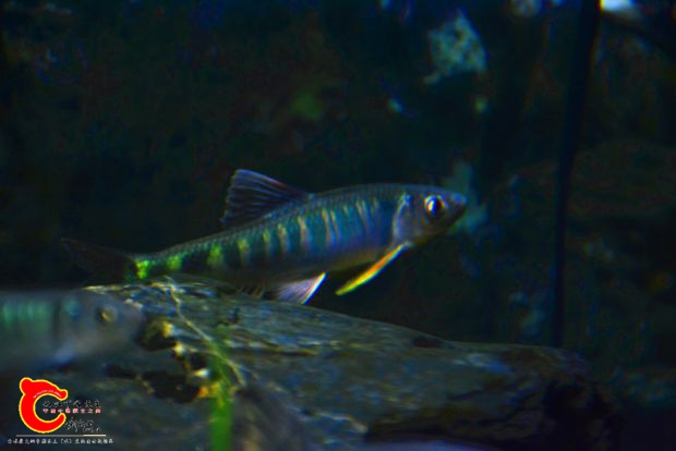 DSC_2344.JPG