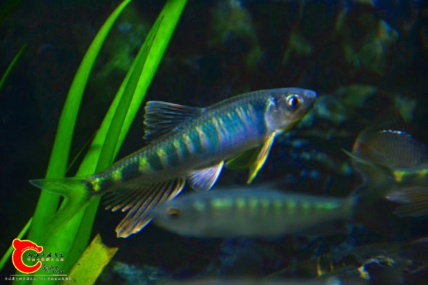 DSC_2345.JPG