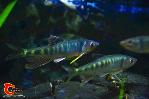 DSC_2348.JPG