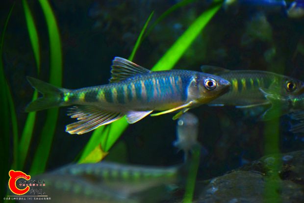 DSC_2350.JPG