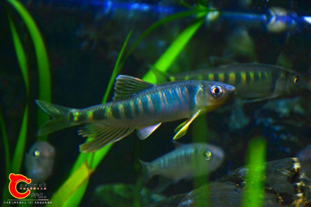 DSC_2351.JPG