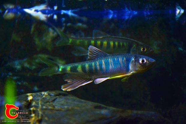DSC_2353.JPG