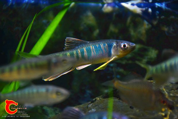 DSC_2359.JPG