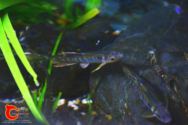 DSC_2362.JPG