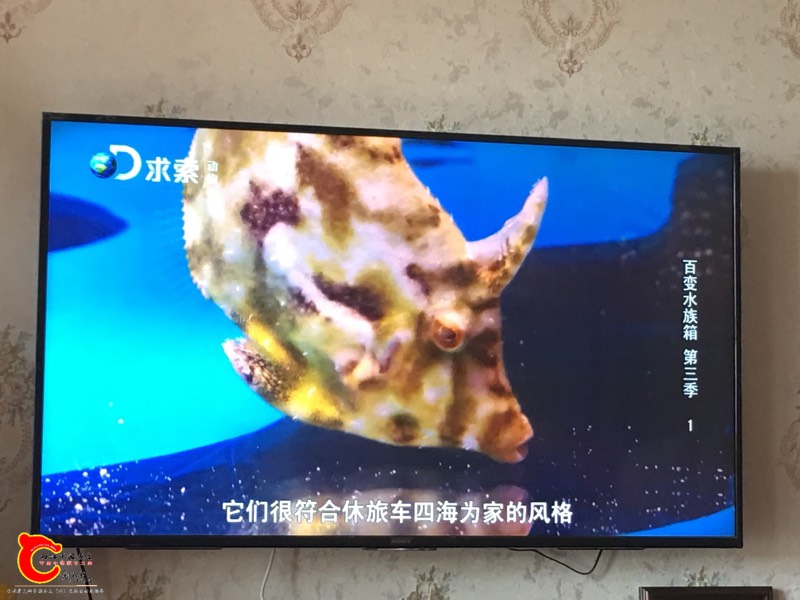 135202nhhr6hd6kb66v6b6.jpg
