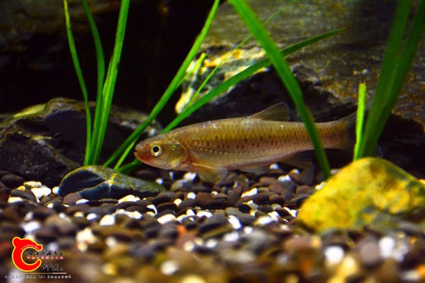 DSC_2356.JPG
