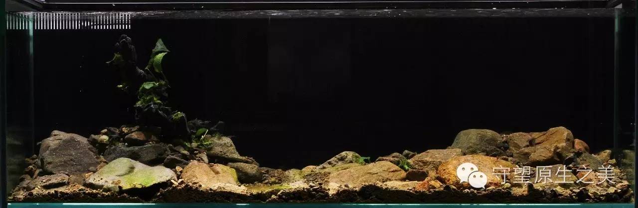 9418d577e4900c0c586f0d1b6286599c.jpg