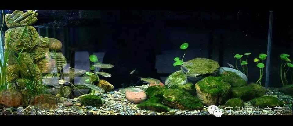 e43f0495ad8ab096bcaab6ab8cfaacc5.jpg
