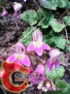 fc43b579a877ae568c33f280950c5896.jpg