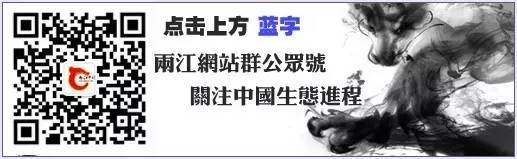 7a9640cf04759e50cdaab3090a1ba0cb.jpg