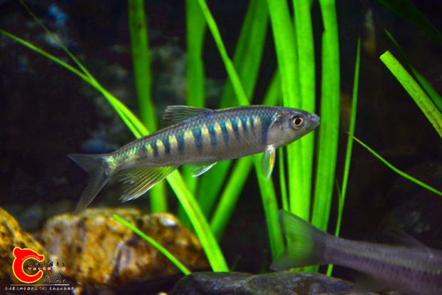 DSC_2389.JPG