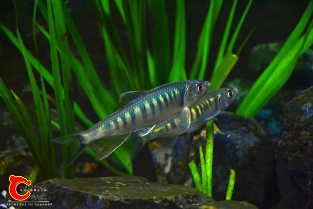 DSC_2399.JPG