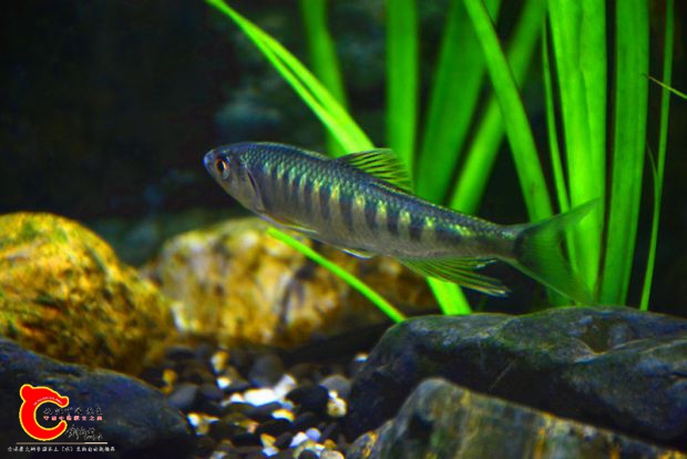 DSC_2403.JPG