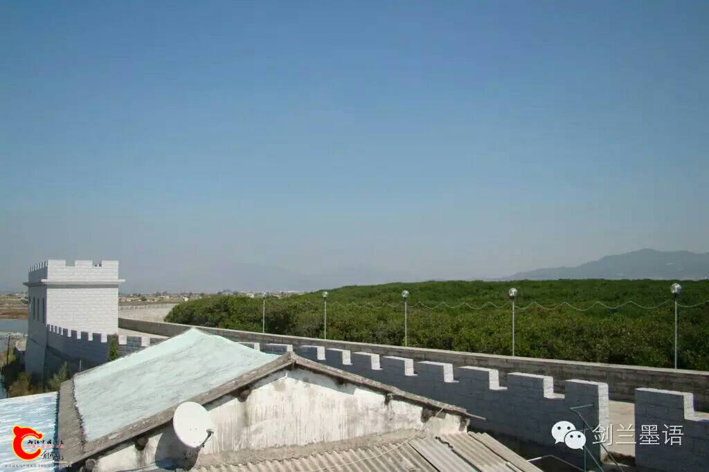 230803hzc6jjyyjdy50deg.jpg