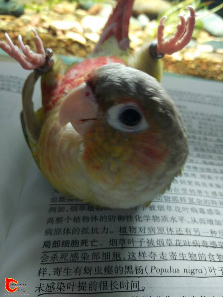 232845pffdi3bg8gjjffbd.jpg