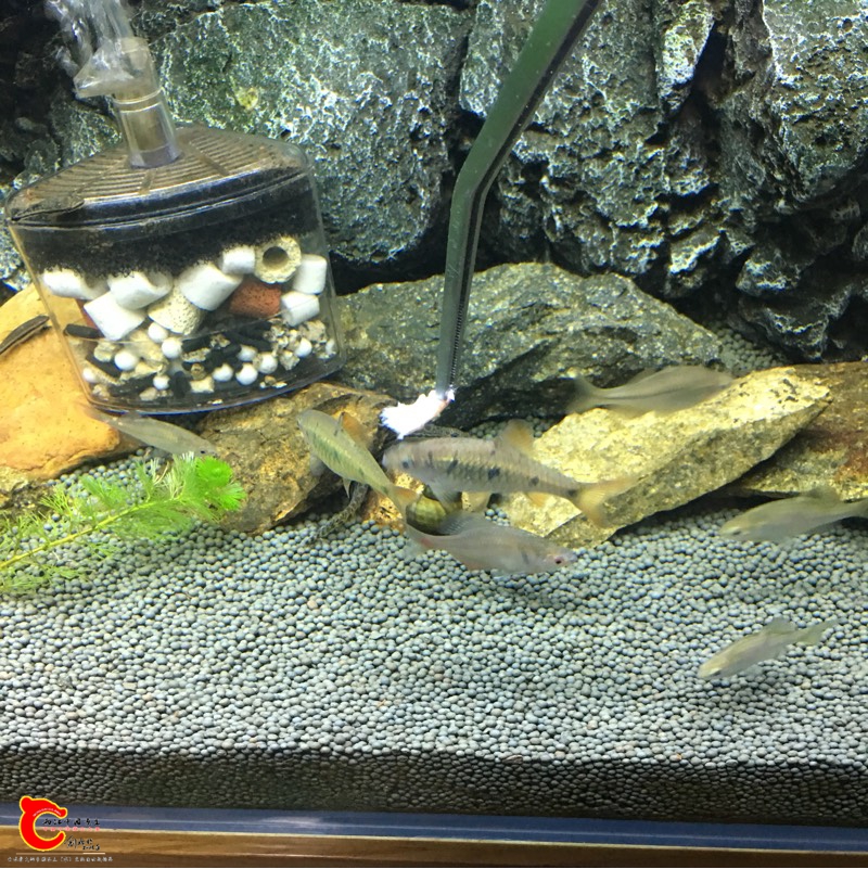 180022t6osd7lcrdohg6dp.jpg
