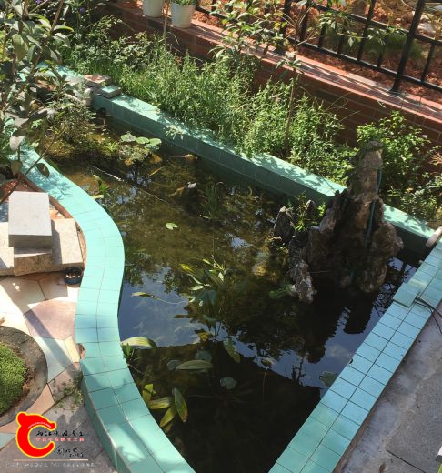 IMG_0167_看图王.jpg
