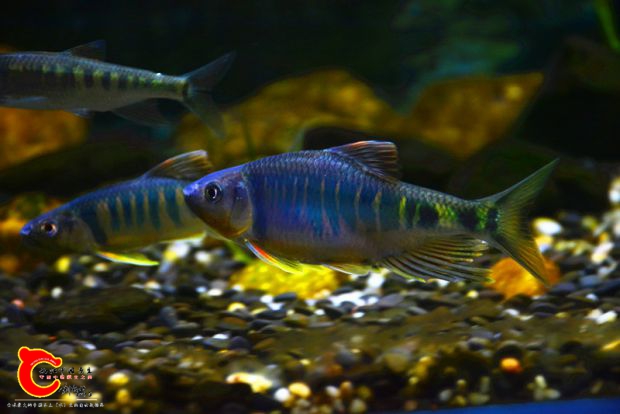 DSC_2322.JPG