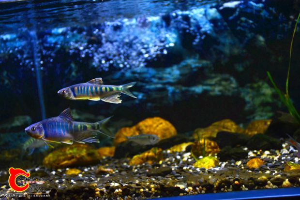 DSC_2324.JPG