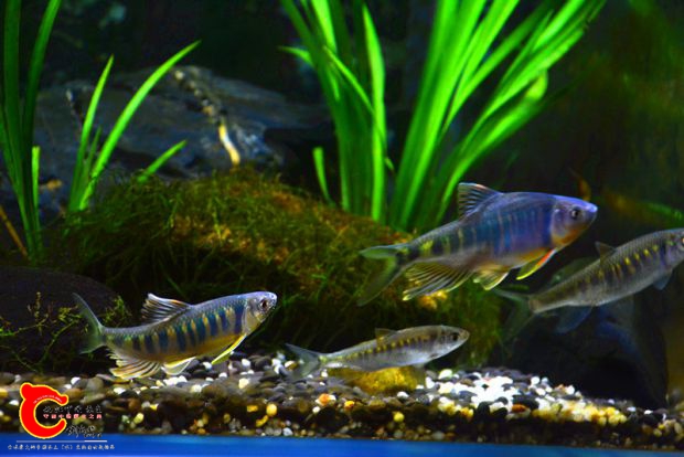 DSC_2326.JPG