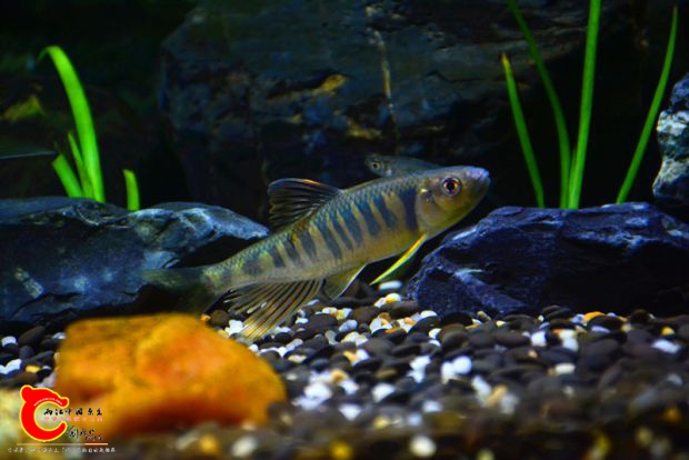 DSC_2329.JPG
