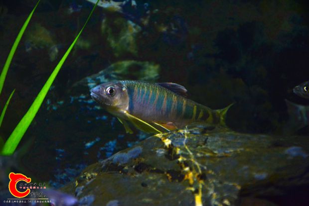DSC_2381.JPG