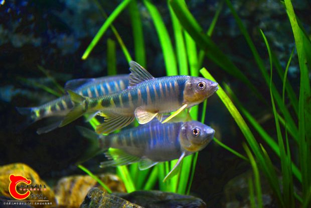 DSC_2420.JPG