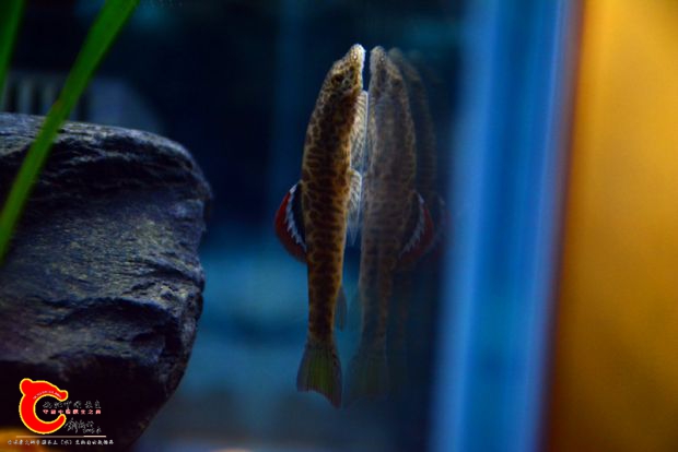 DSC_2476.JPG