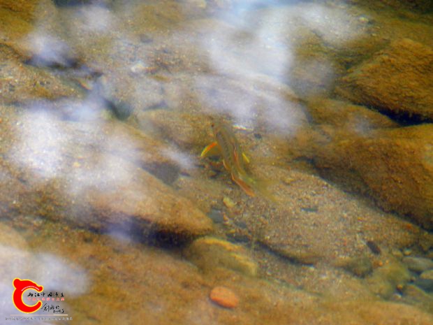 DSC03060.JPG
