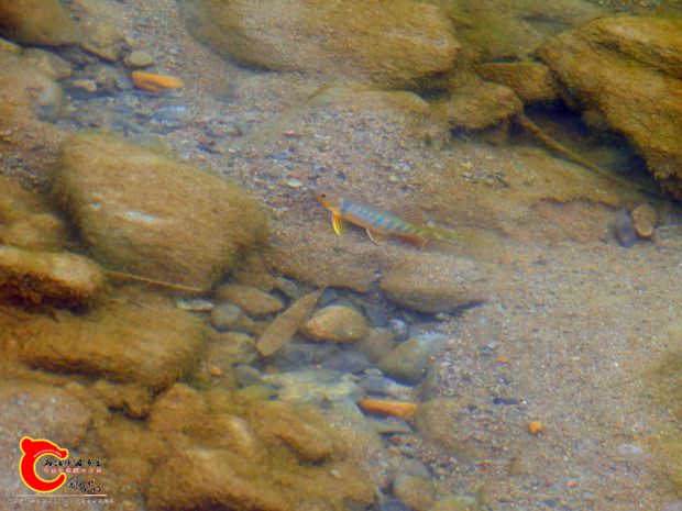 DSC03065.JPG