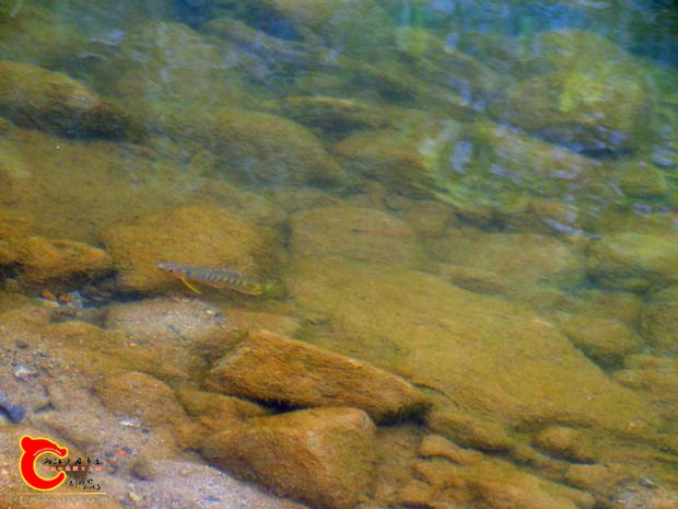 DSC03067.JPG